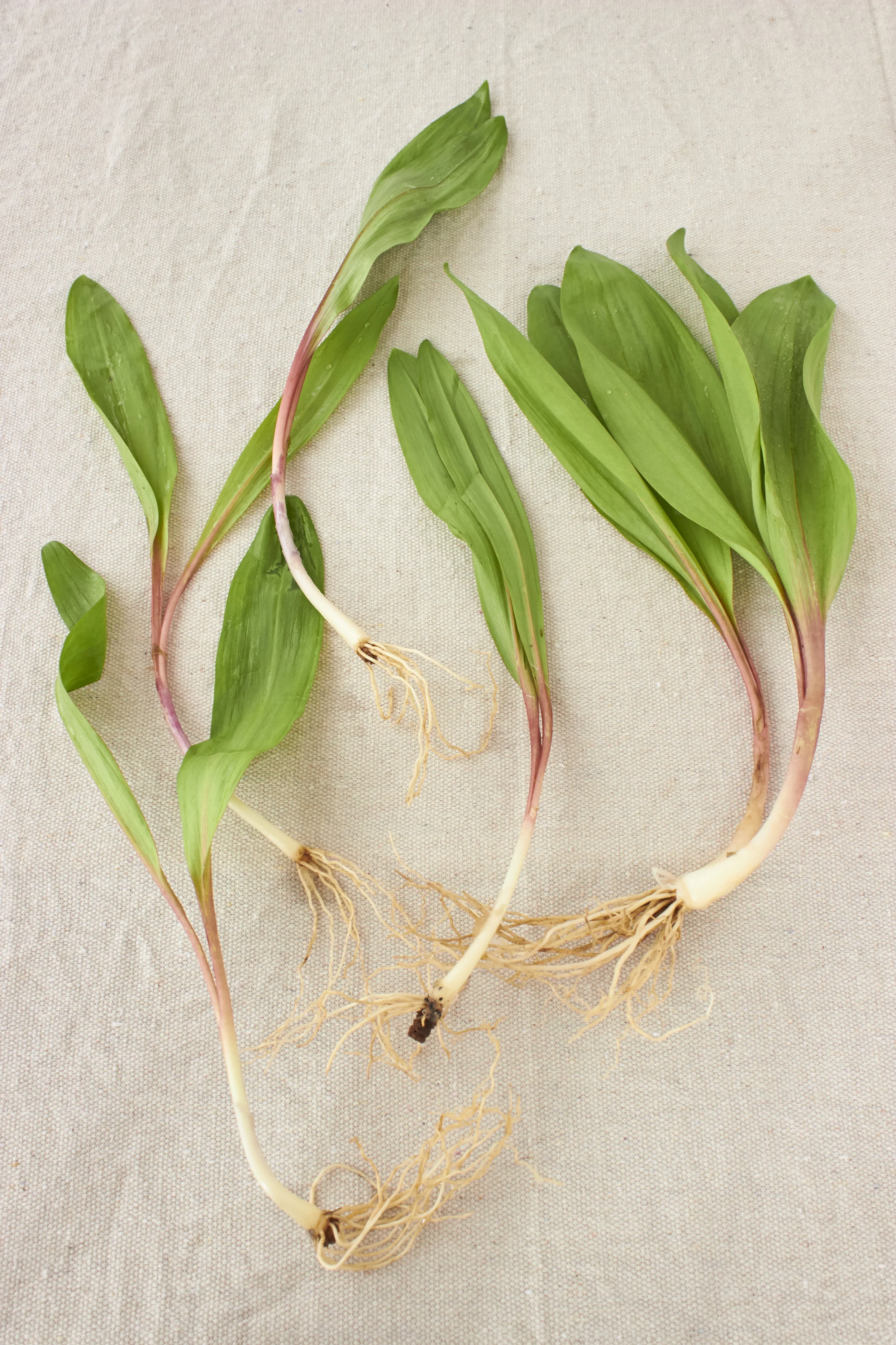 Ramps
