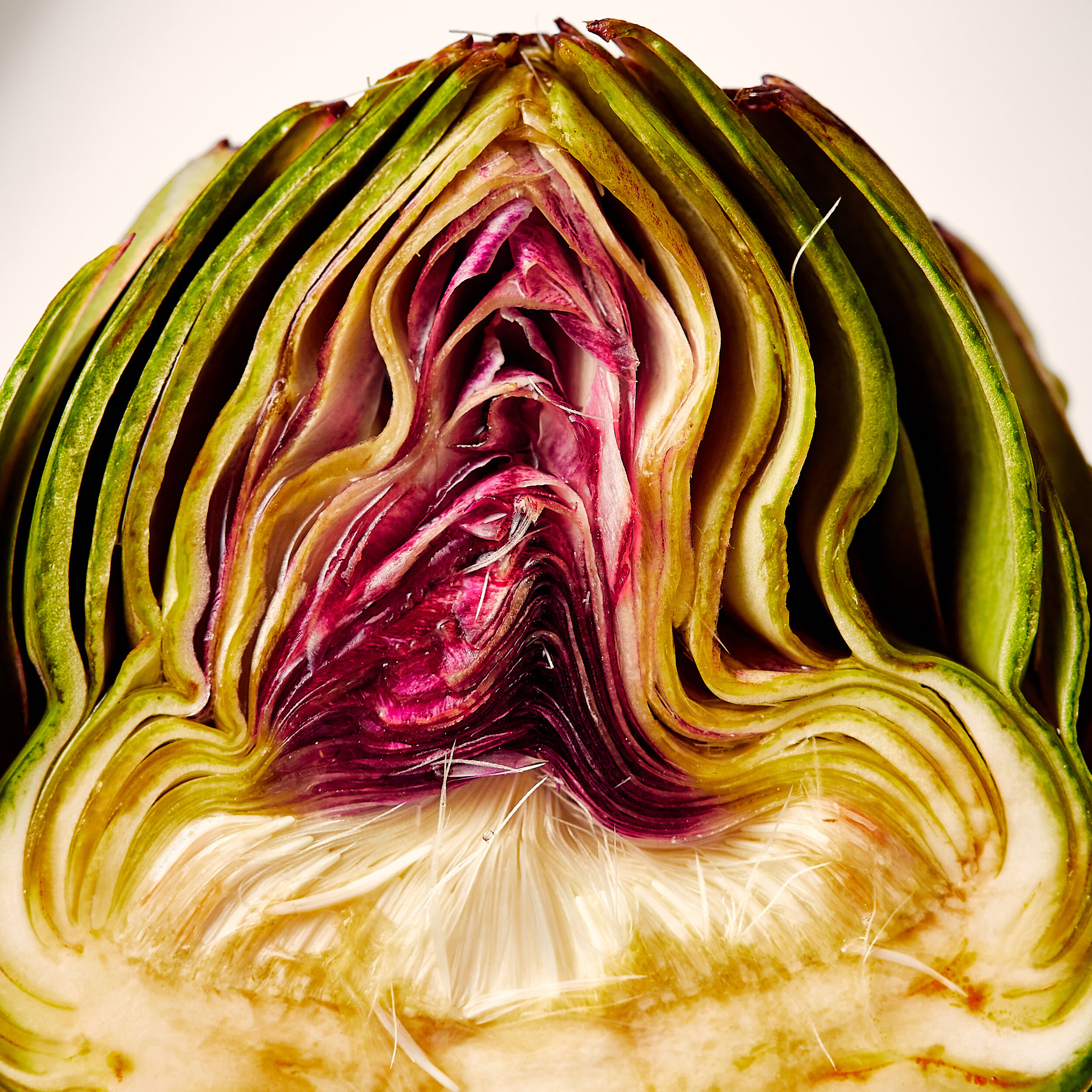 Artichoke Heart