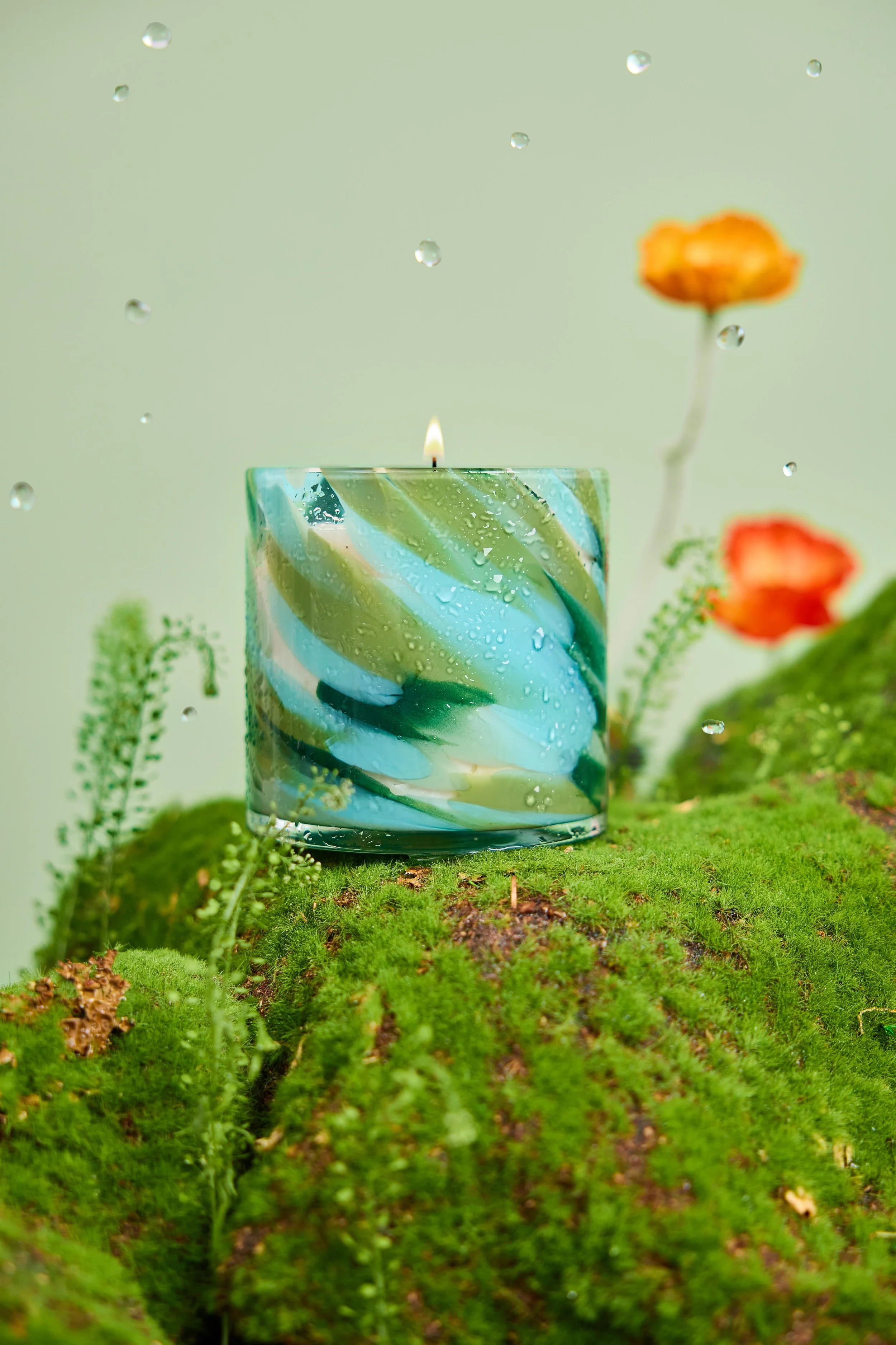 2602_LAFCO2805_Dew_Not_Disturb_Moss_Edge.jpg