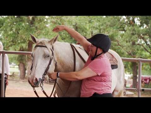 High Hill Farm - A Sport Horse Community