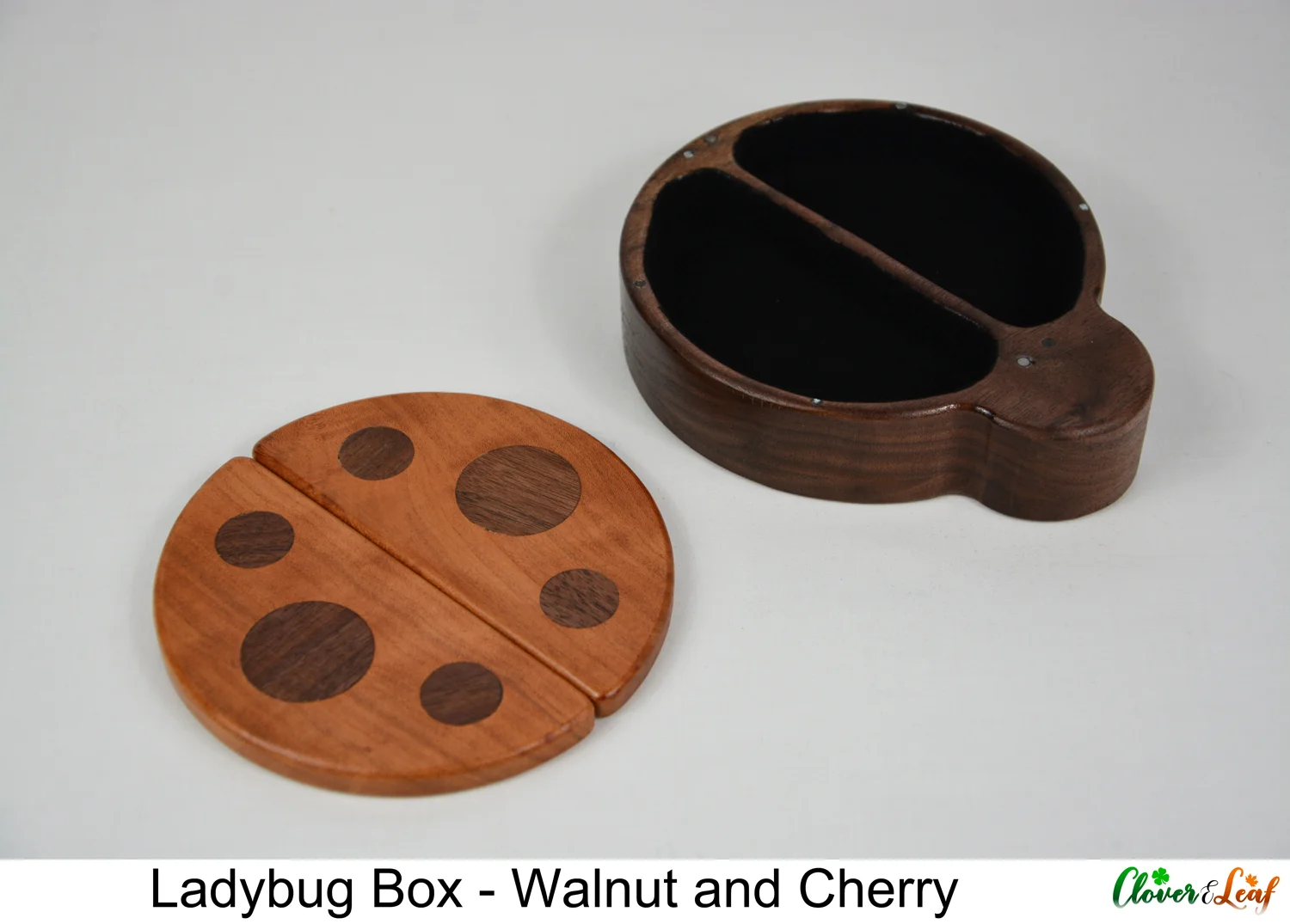 Ladybug Box Both Wings Off.jpg