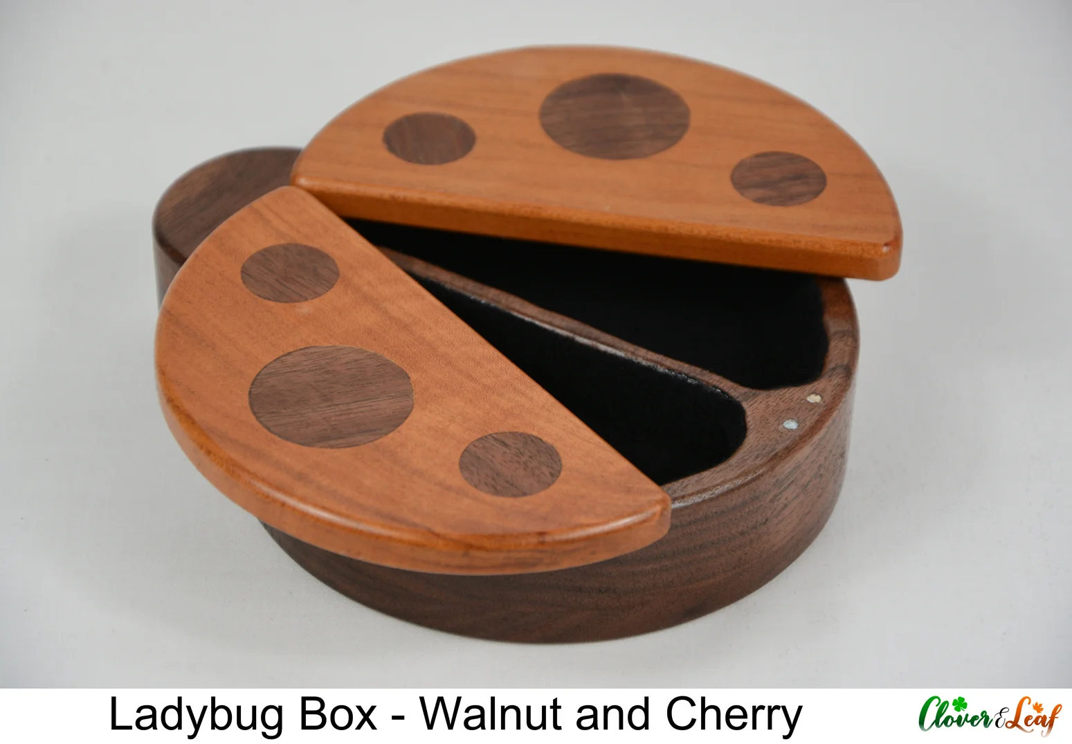 Ladybug Box Both Wings Open Side.jpg