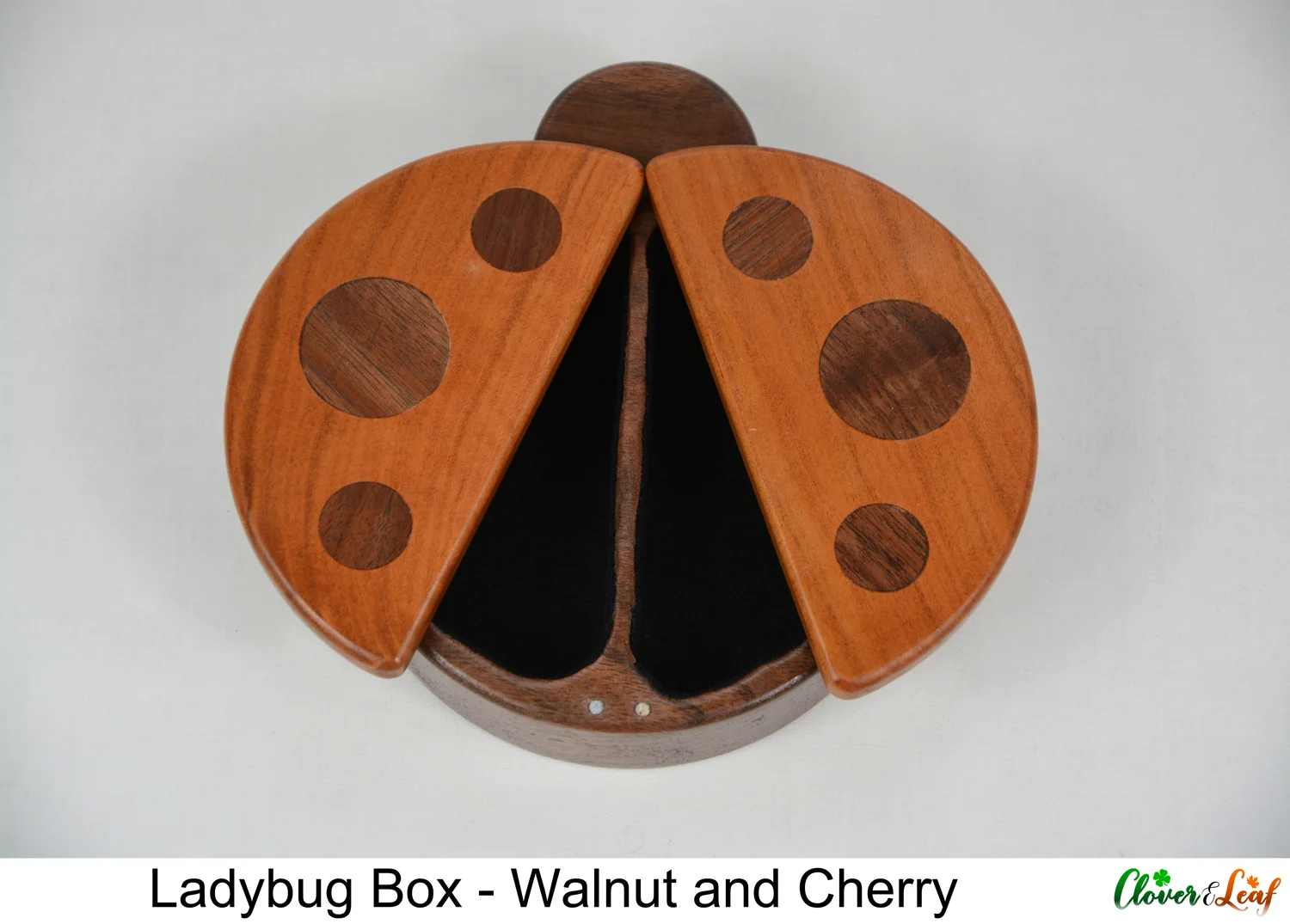 Ladybug Box Both Wings Open.jpg