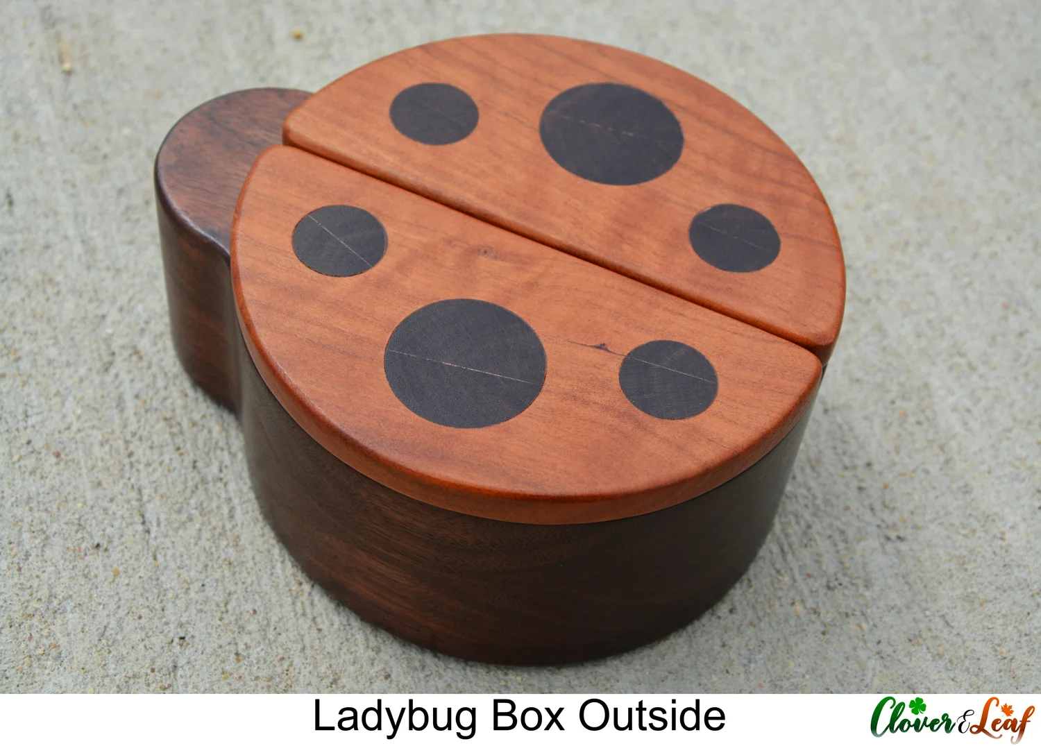 Ladybug Box Outside.jpg
