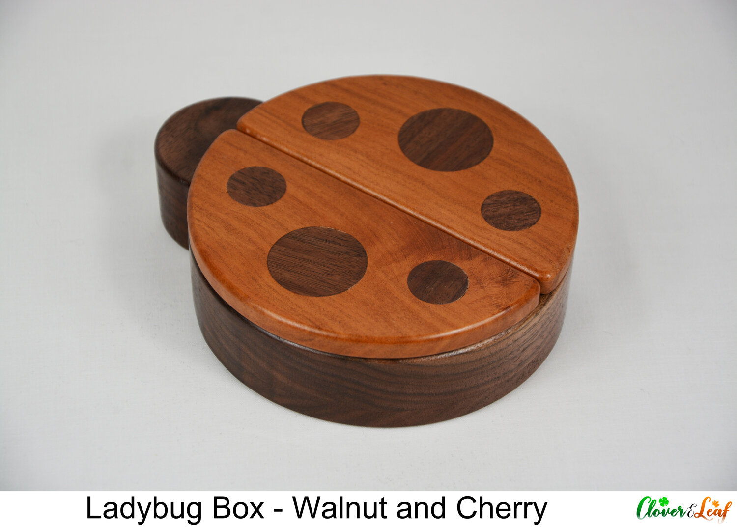 Ladybug Box.jpg