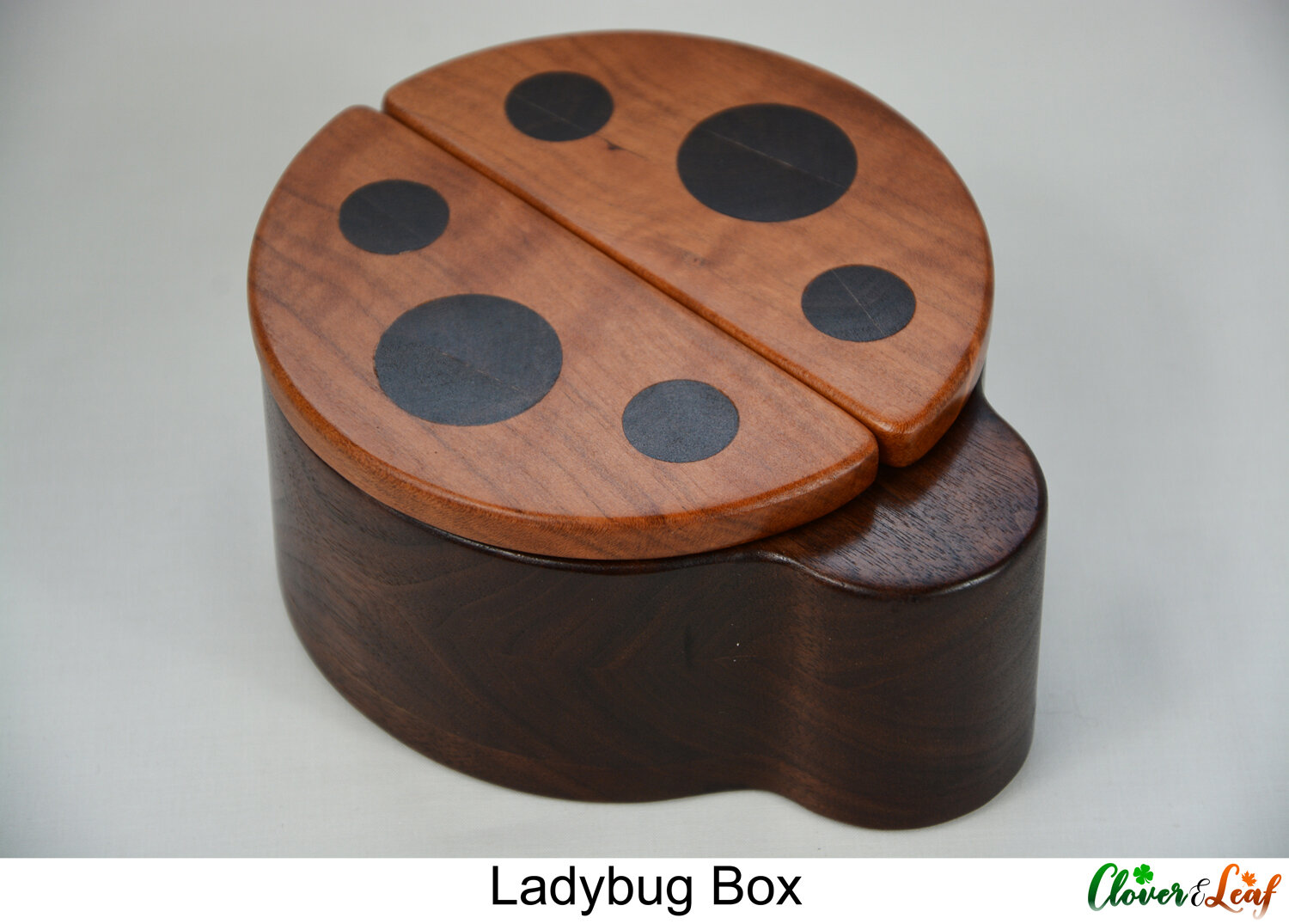 Ladybug Box Front Facing.jpg
