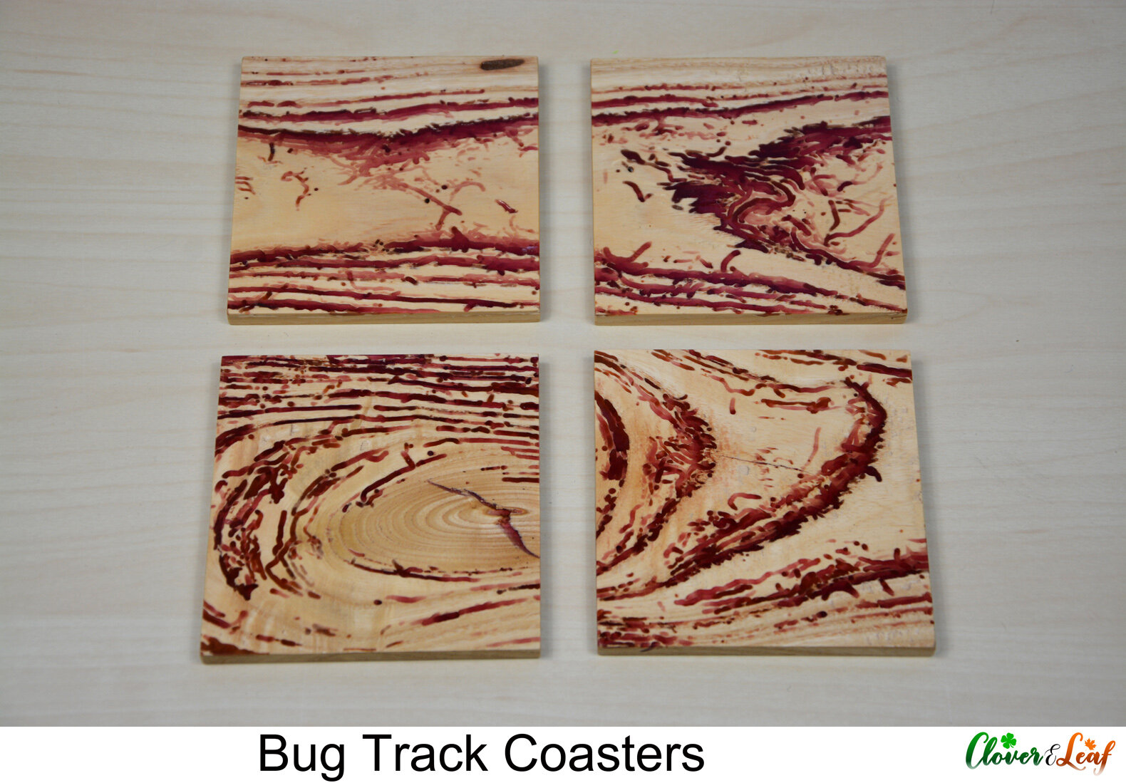 Bug Track Coasters - Coasters Laid Out.jpg