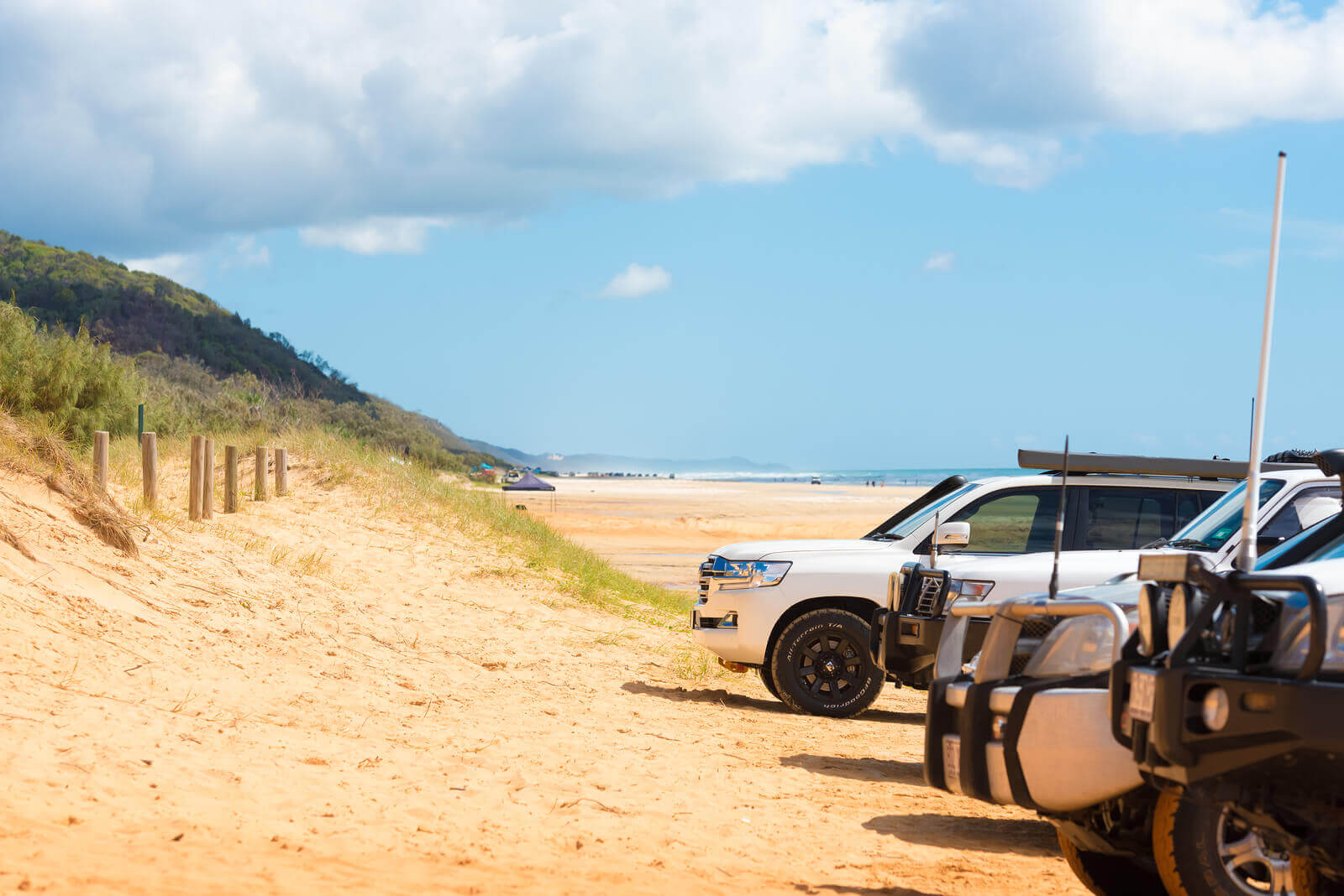 bigstock--Wd-Vehicles-At-Rainbow-Beach--229692733 (1).jpg