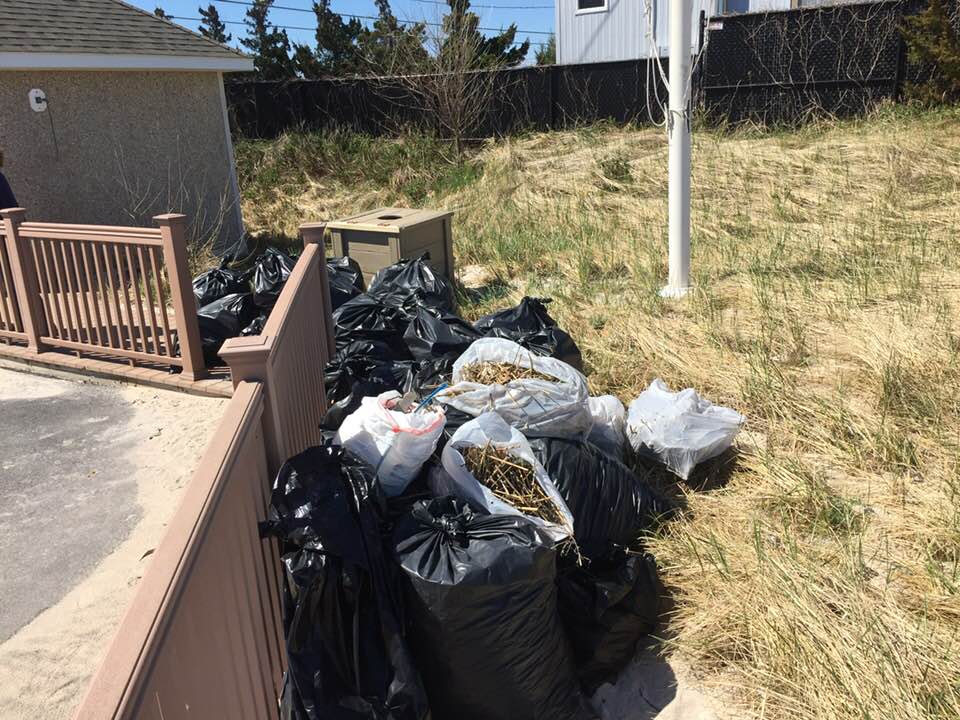 Garbage.jpg