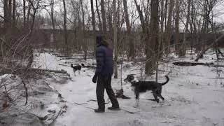 wait for it