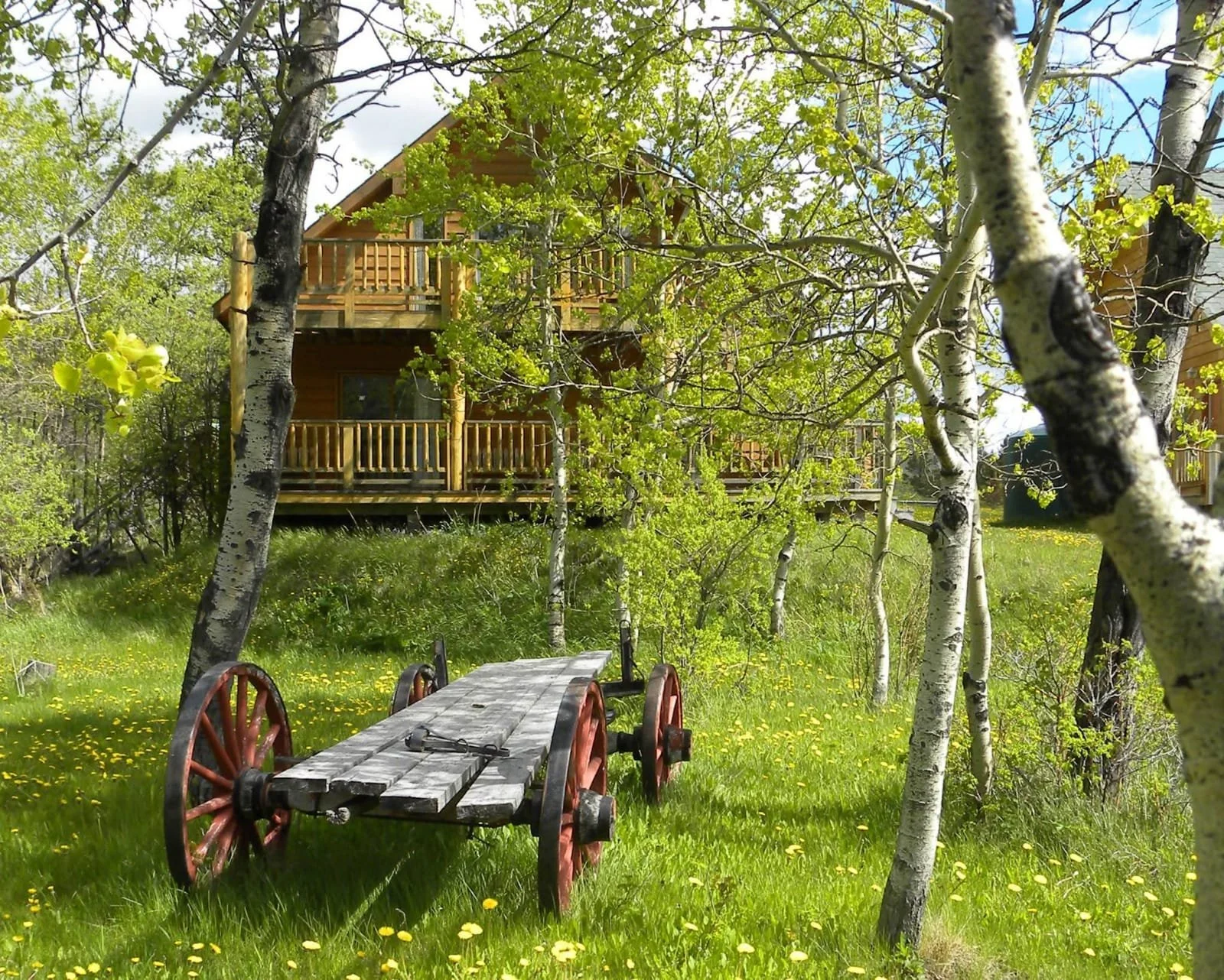CABIN3.jpeg