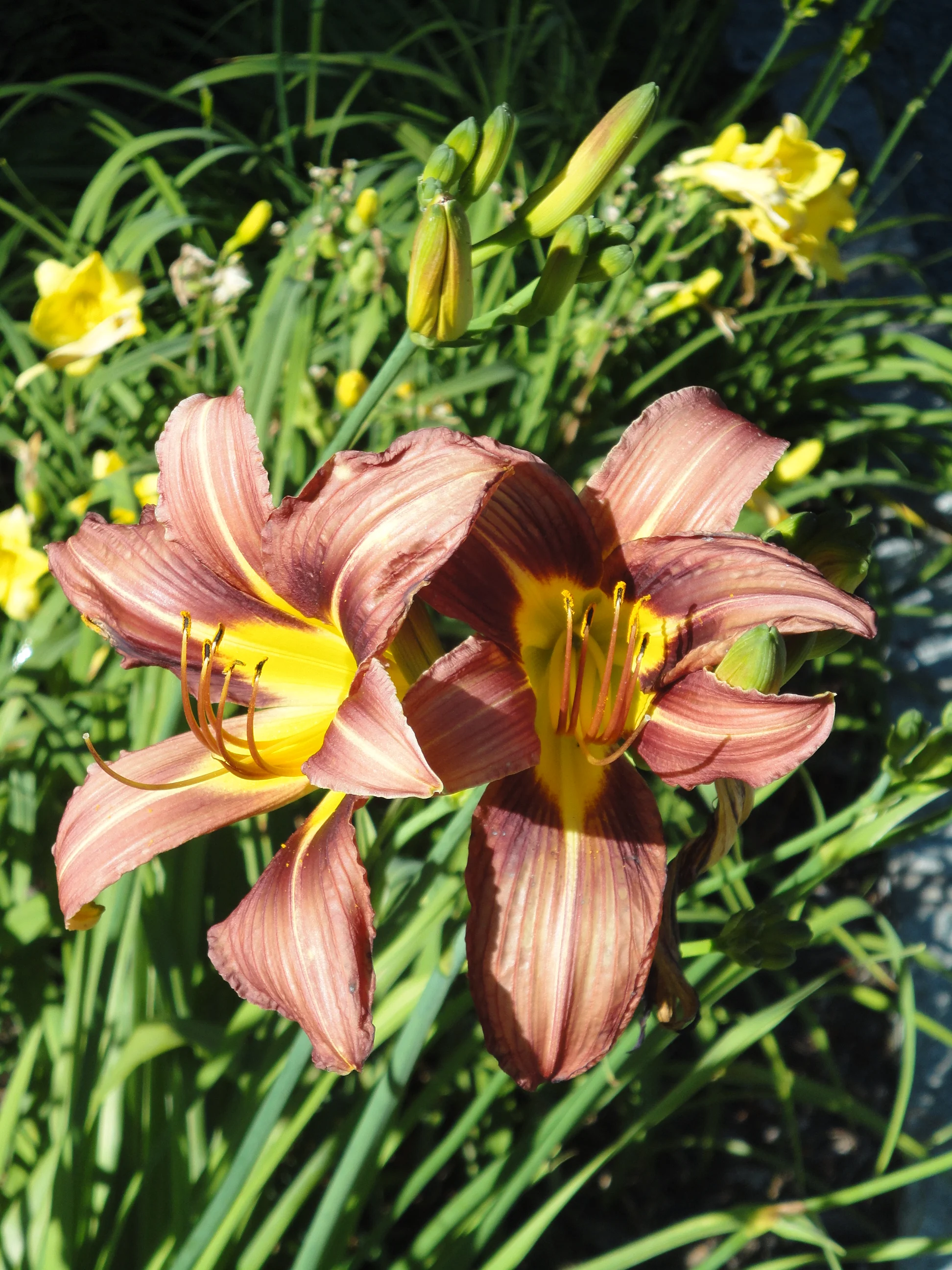 summer 2011 111.jpg