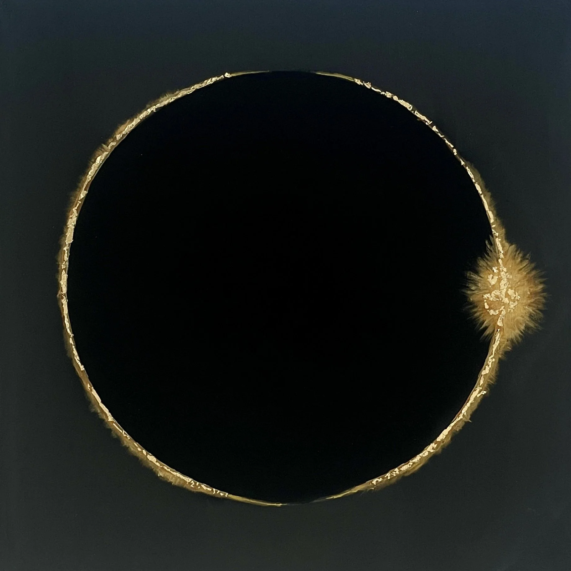 CORONA  482024 (No. 428)