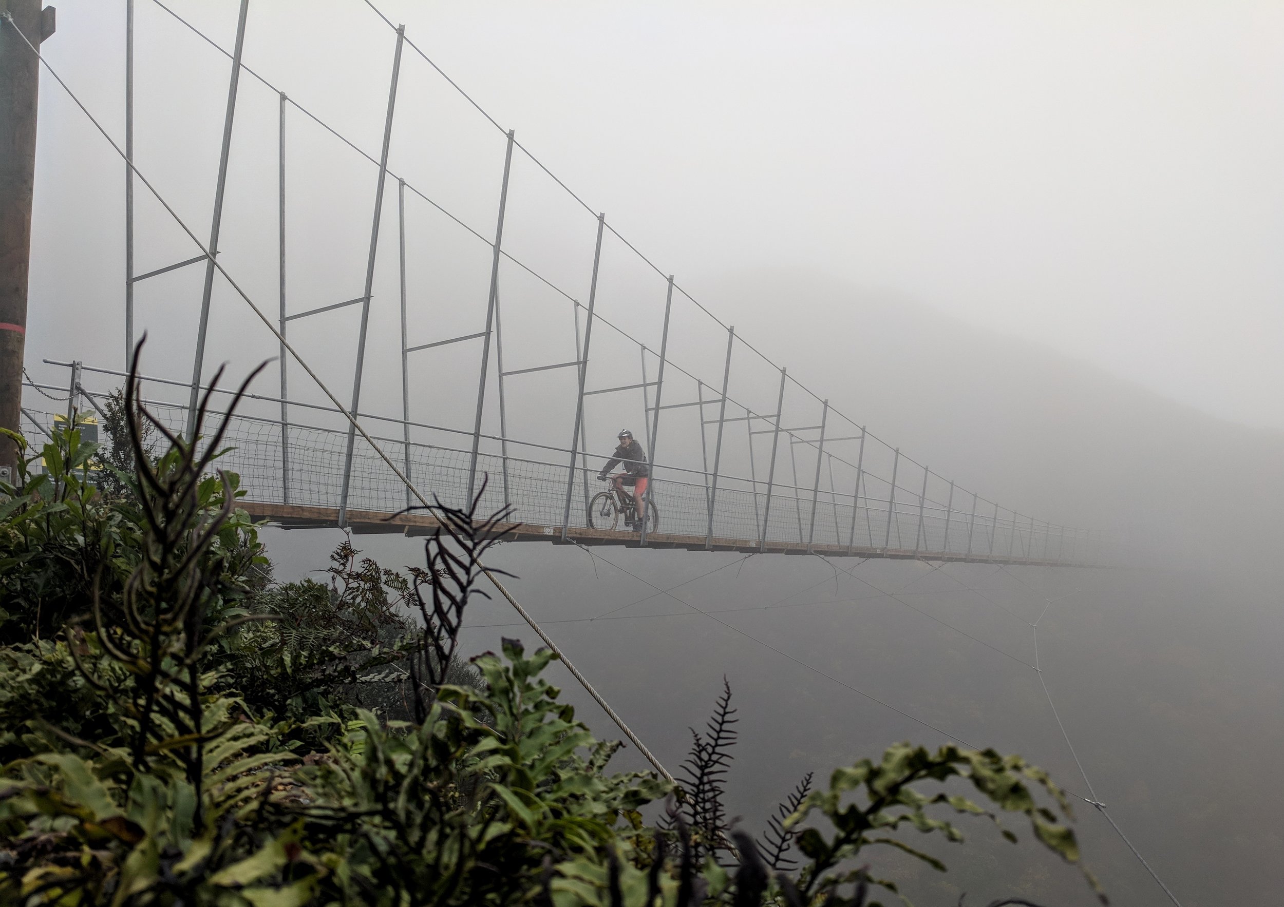 Bridge mist.jpg