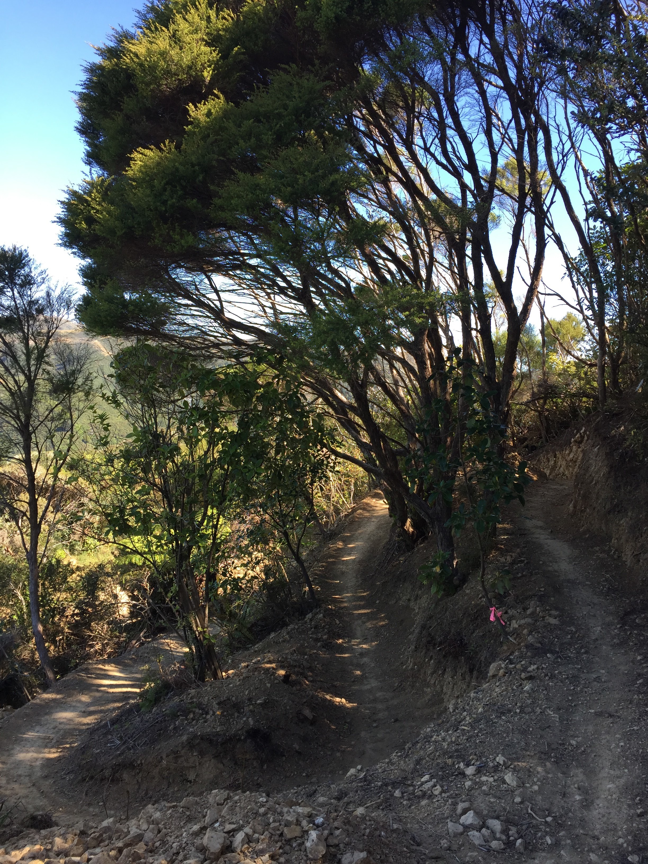 Three Brothers Switchbacks