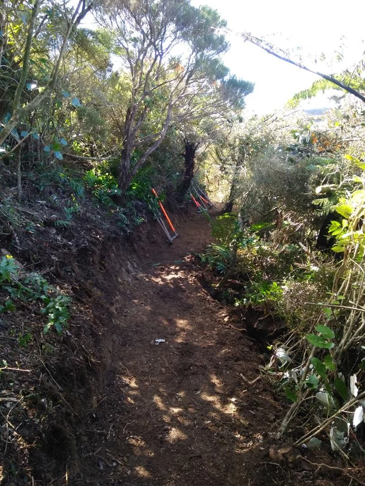 Upper Leaping Lizard bypass underway