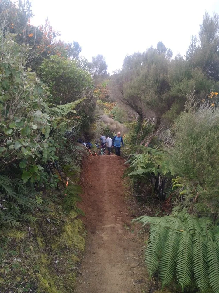Ridgeline extension