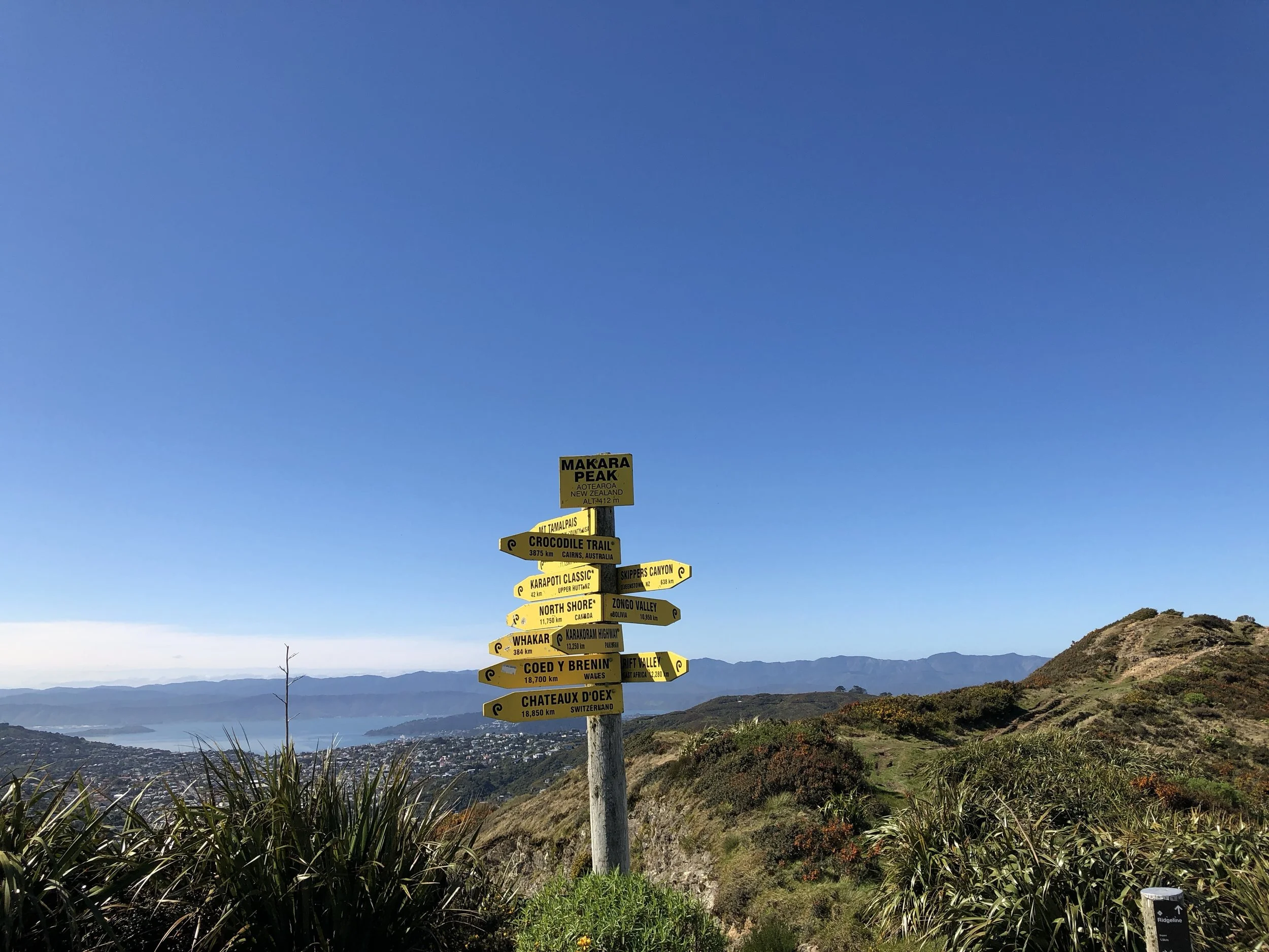 12 month family membership