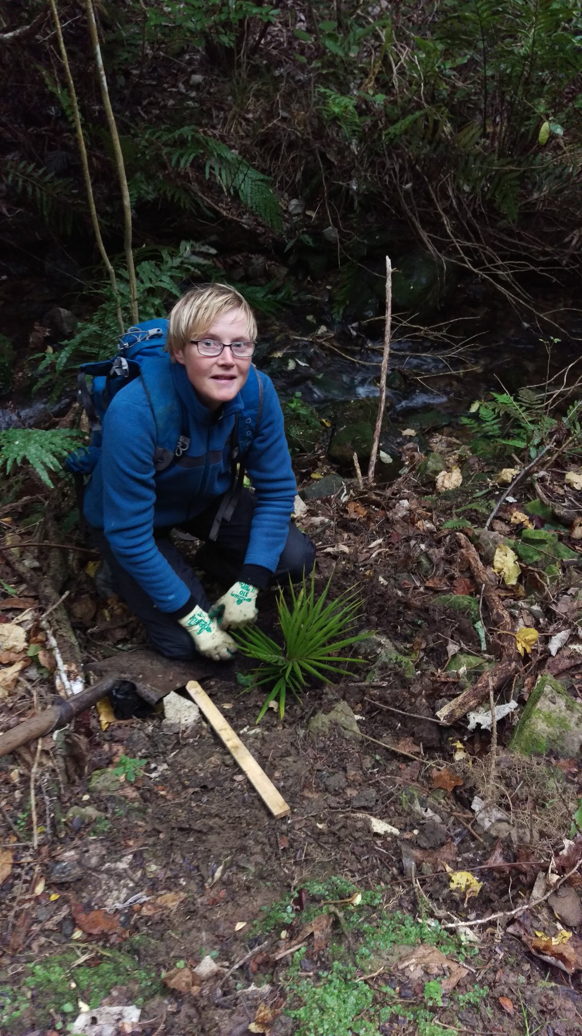 Sarah B planting.jpg