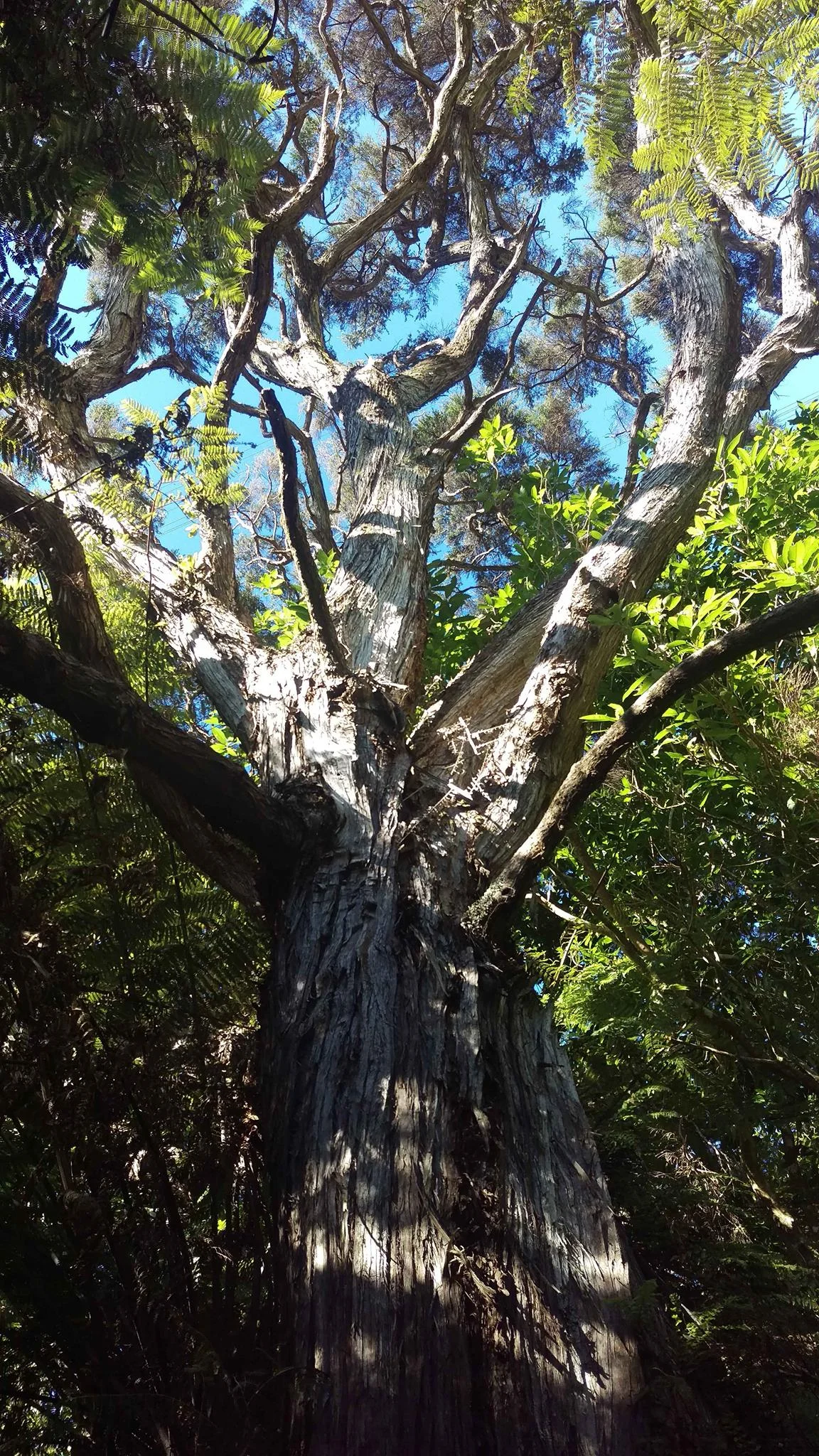 It's releasing season