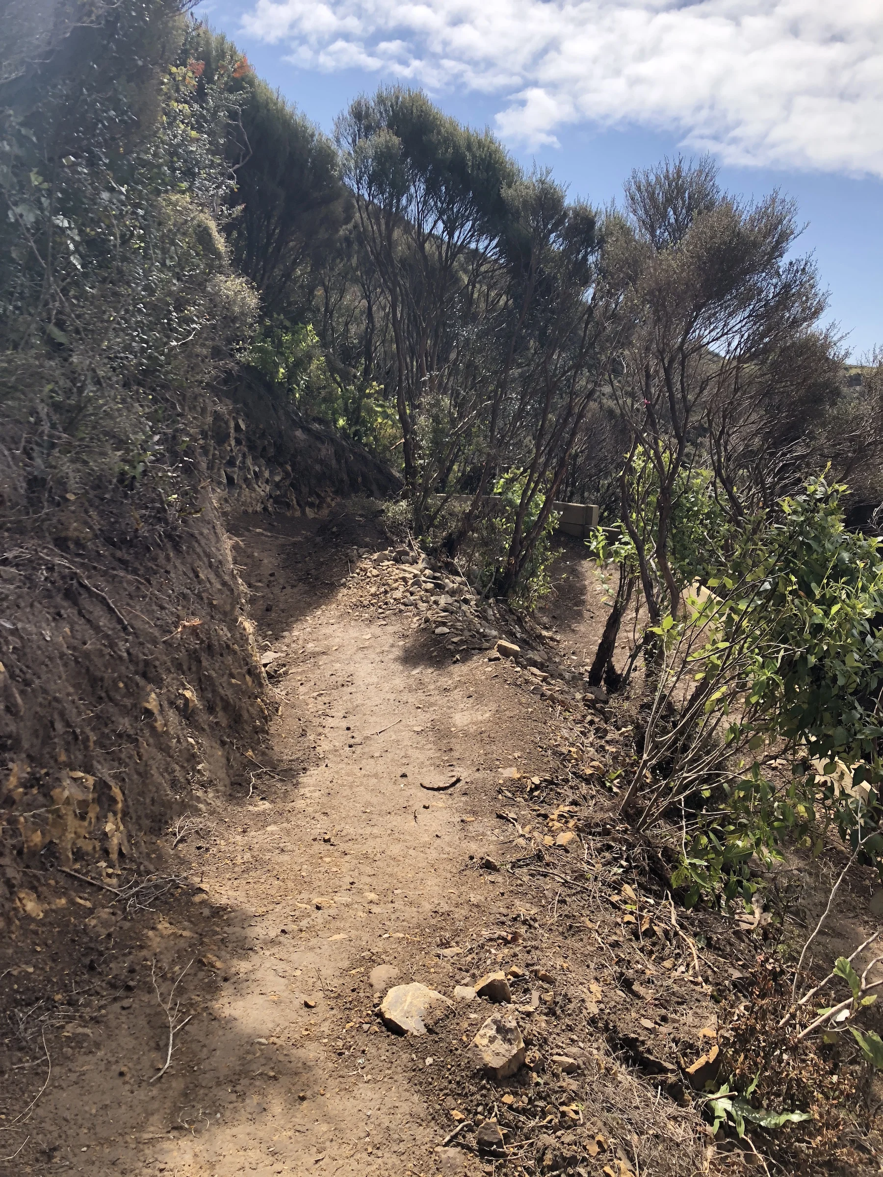 Upper Leaping Lizard switchback