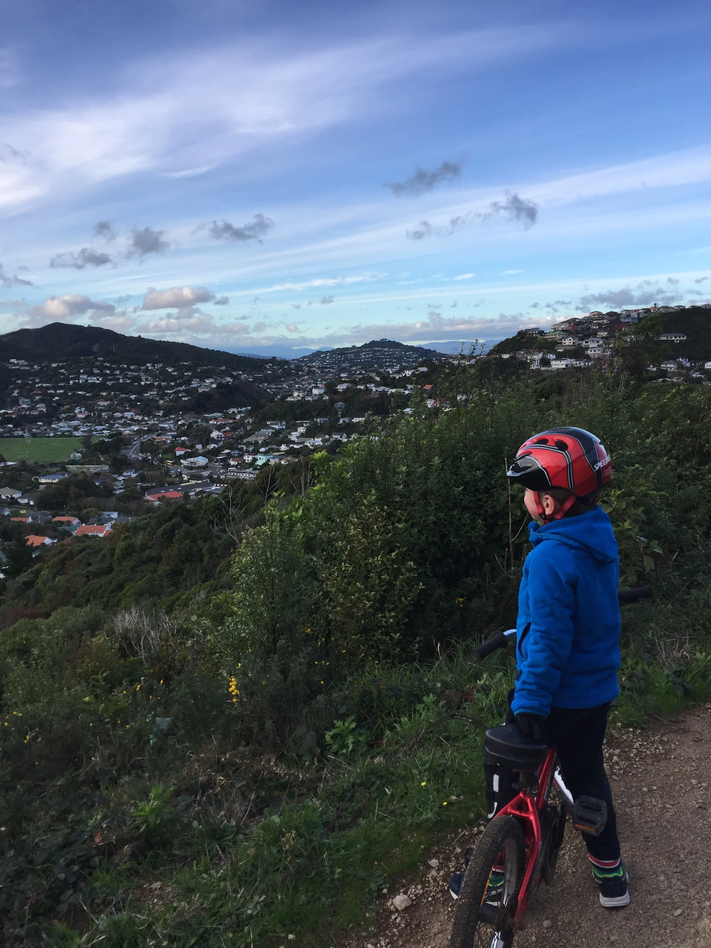 Rimu Trail