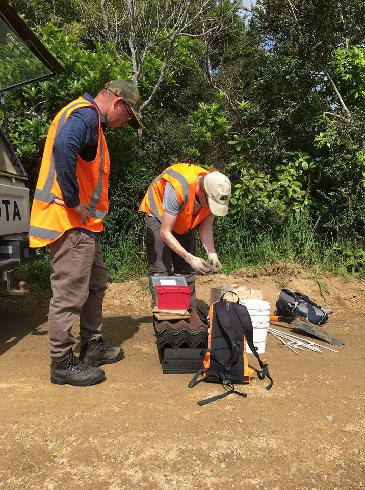 Lizard Survey 2018-19