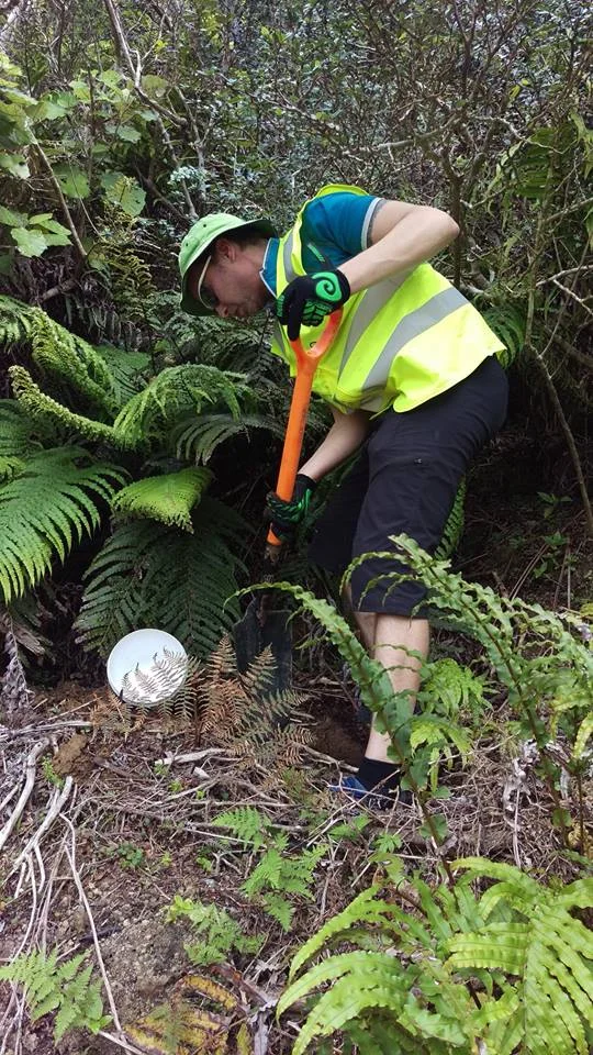 Lizard survey coming to Makara Peak