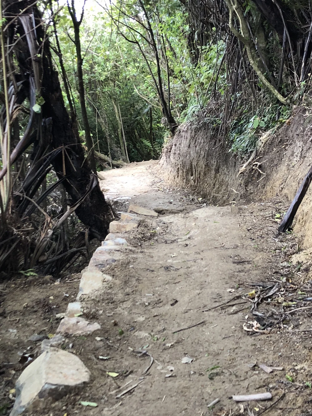 Finishing off Starfish new build