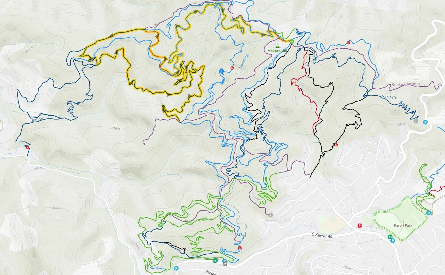 Missing Link and Nikau Valley Climb