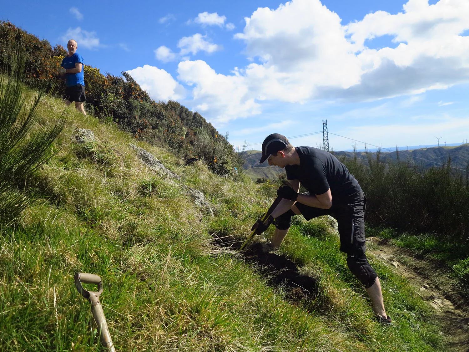 Planting bee - Upper Nikau Valley