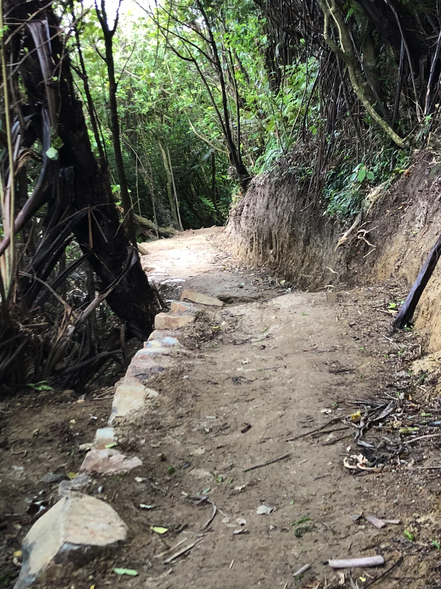 Final Starfish dig, and then we open it!