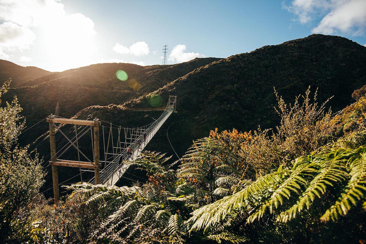Upswing and Wild At Heart Swing Bridge closed this week