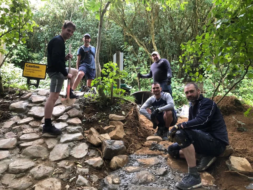 Thursday night dig - Starfish