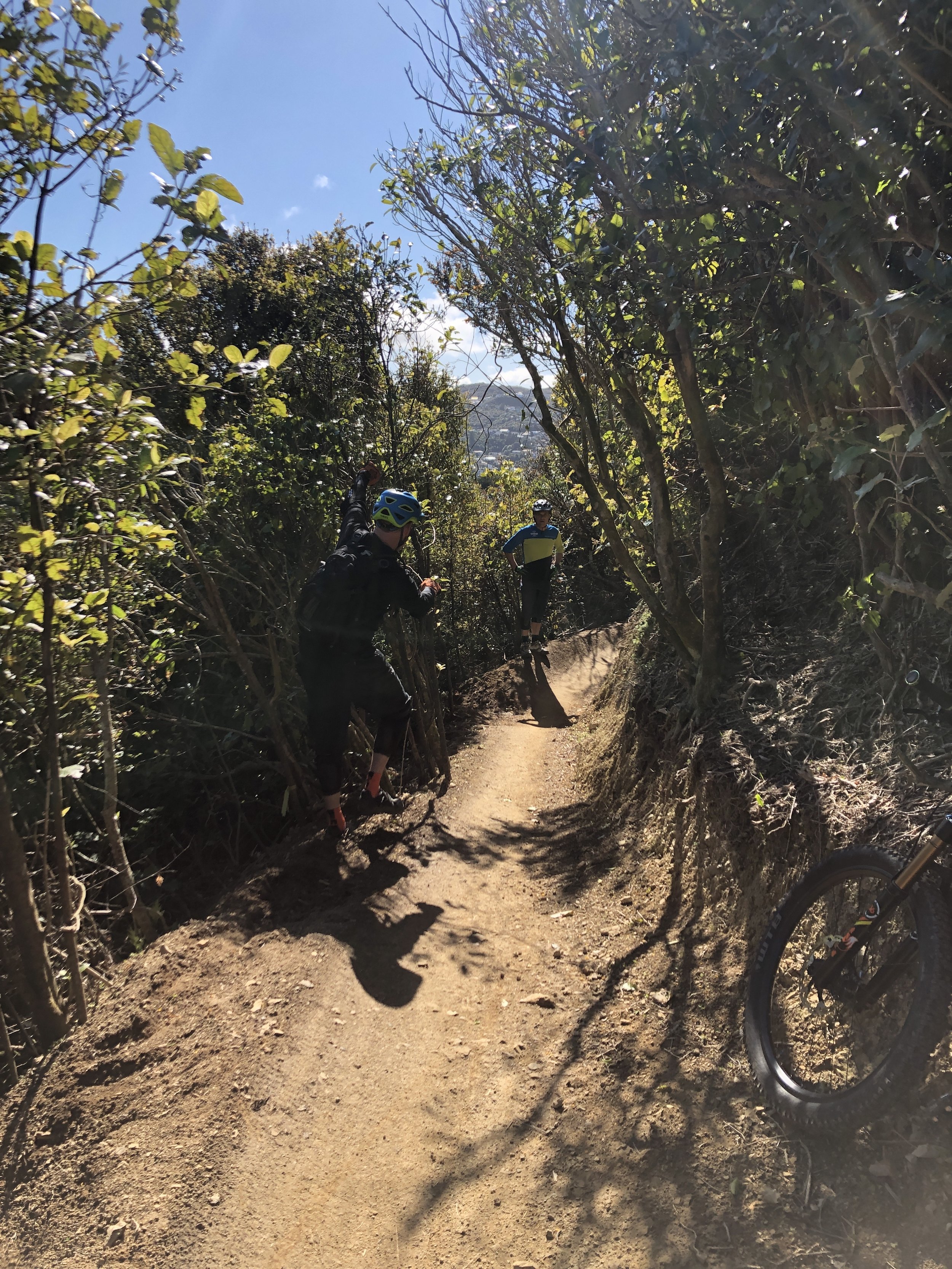 Thursday night dig - Starfish