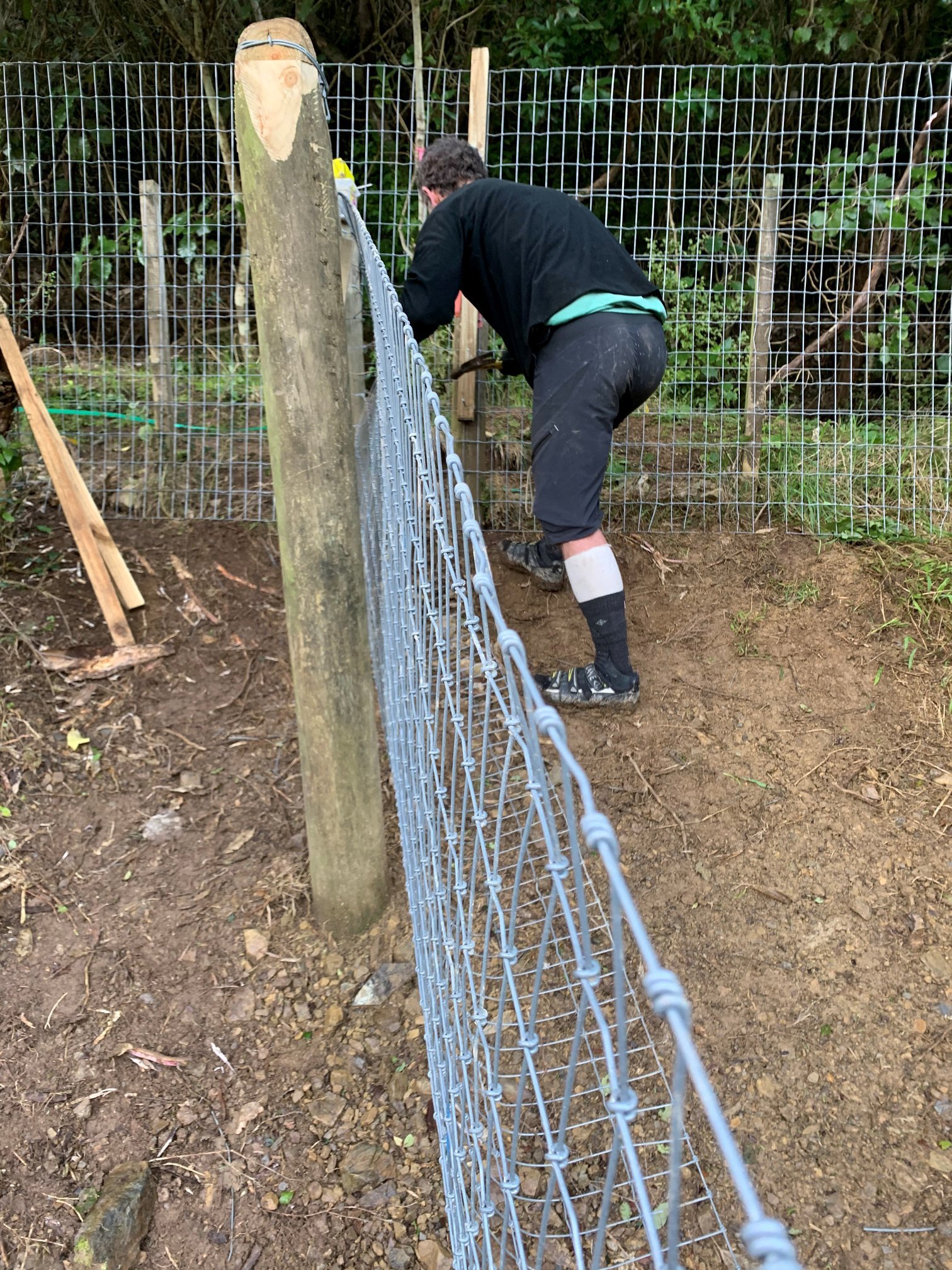 Kohanga fence.jpg