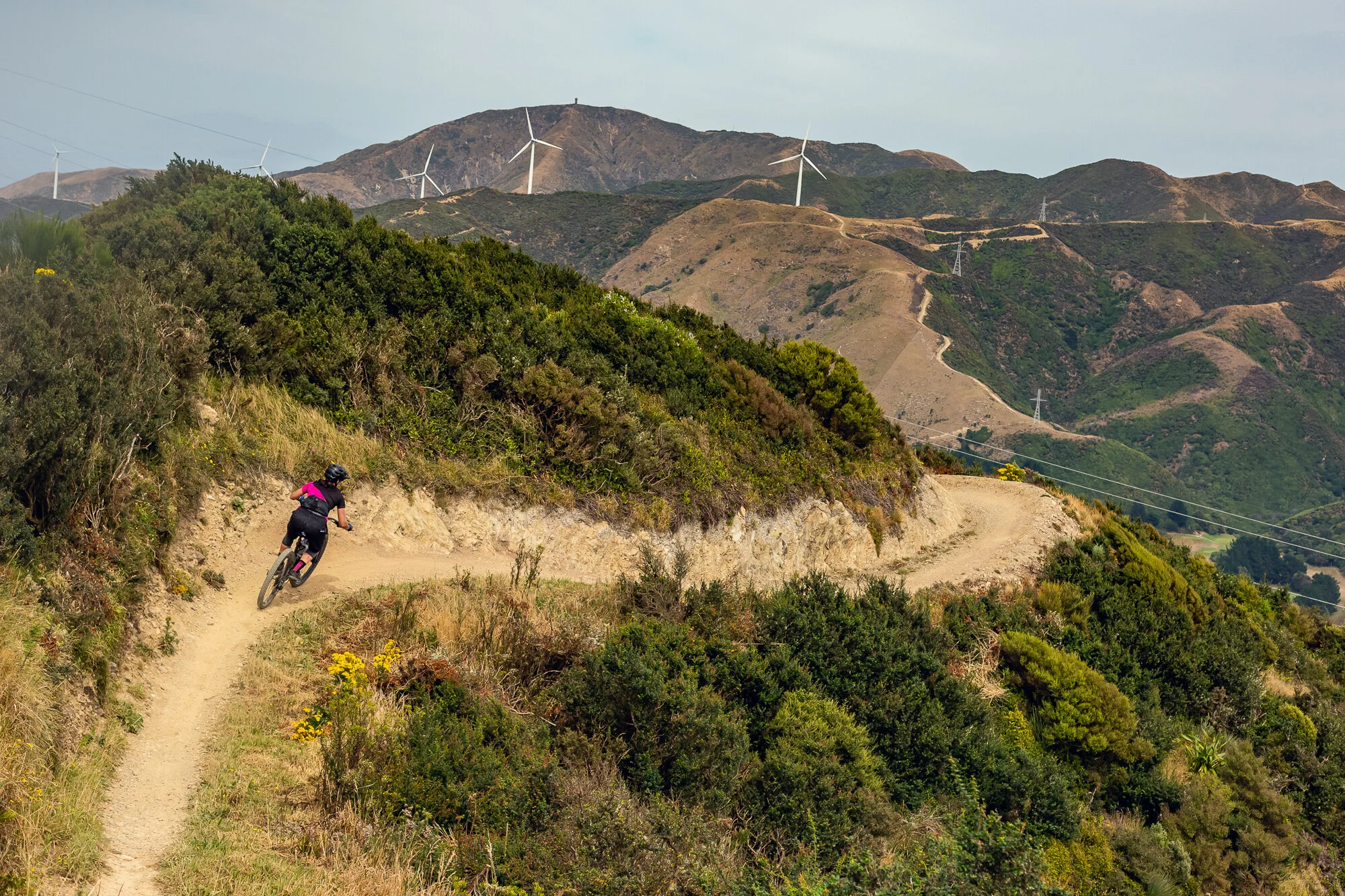 Our 2019-20 Annual Report has been published