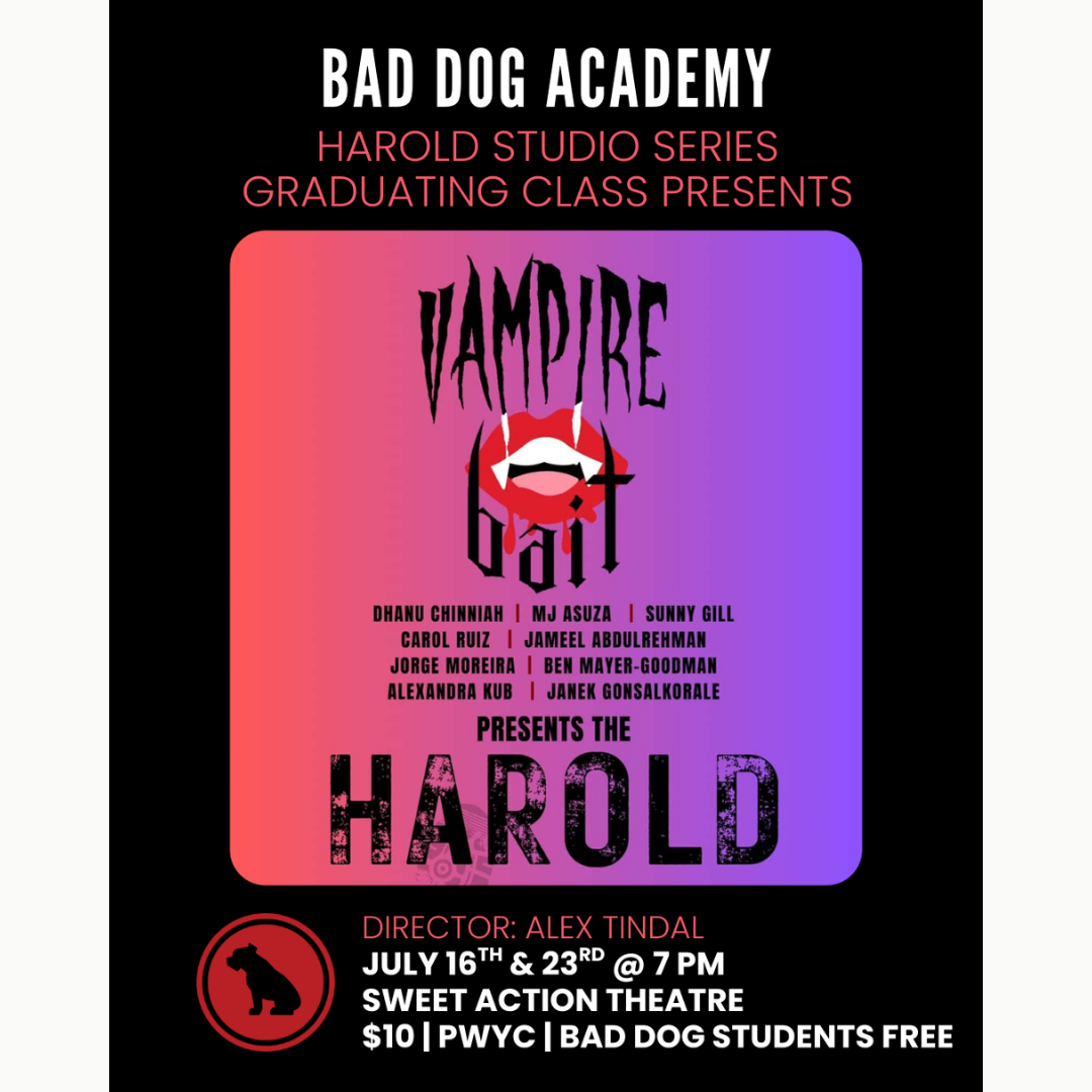 Bad Dog Academy Showcase
