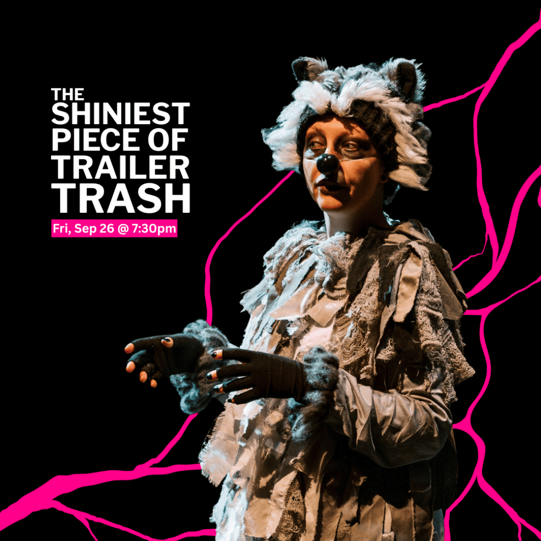The Shiniest Piece of Trailer Trash