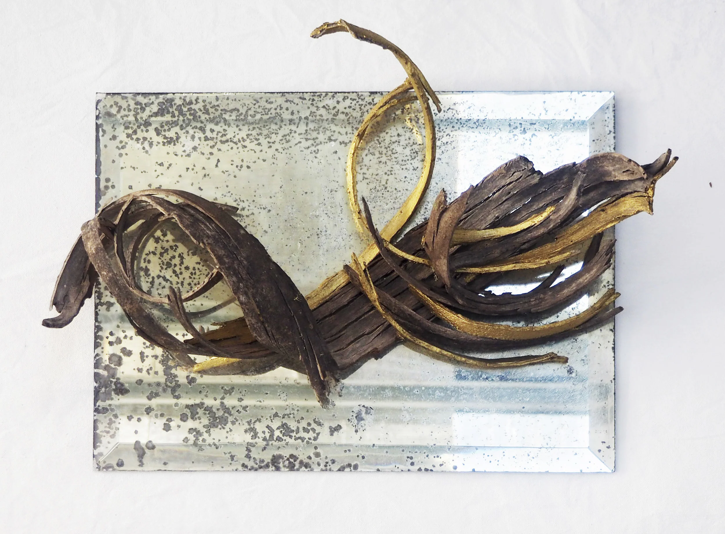 Alchemists Mirror Vintage Mirror, Bark, Gold Pigment