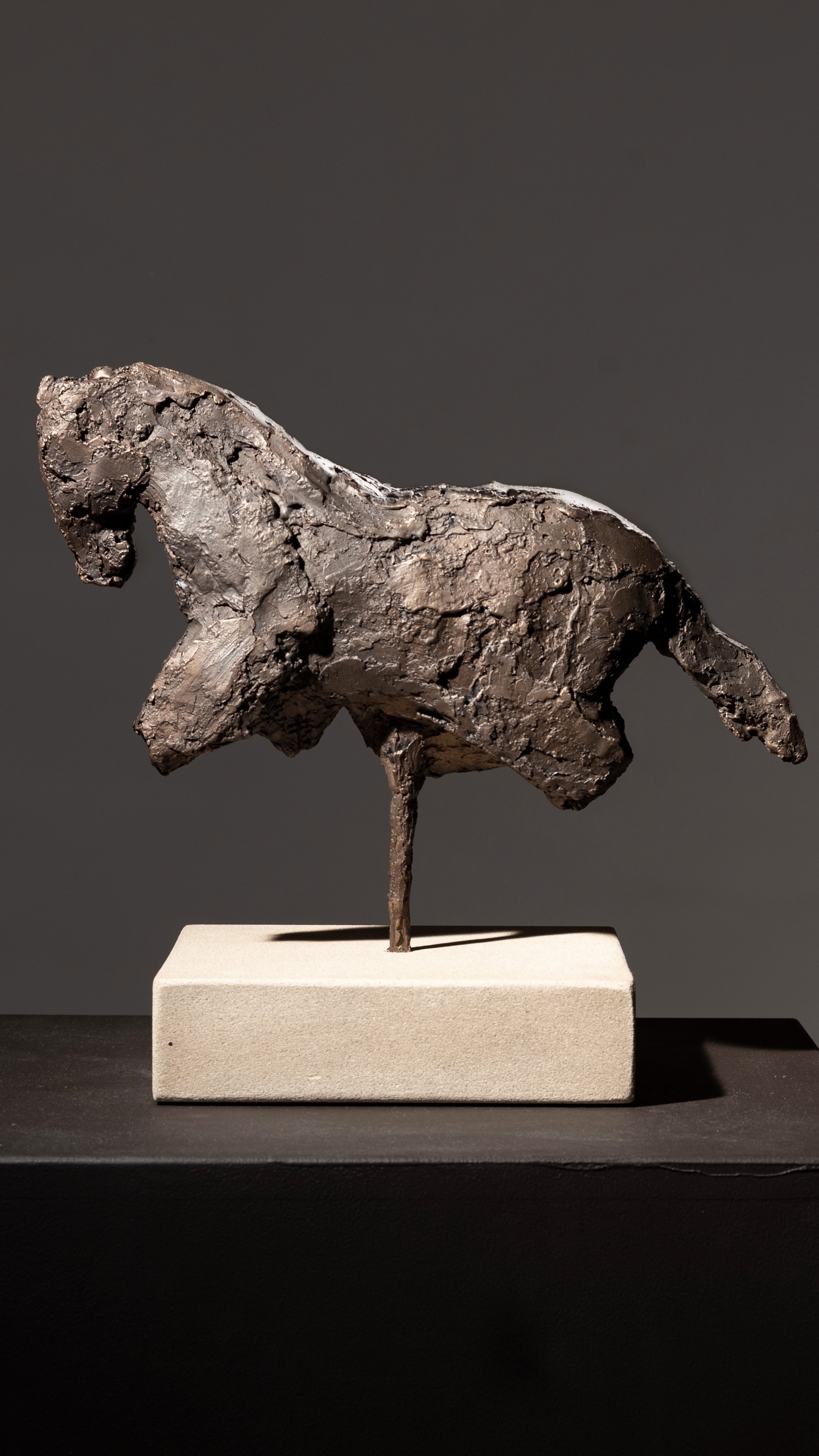 EquineStudy-Bronze_II_2022.jpeg