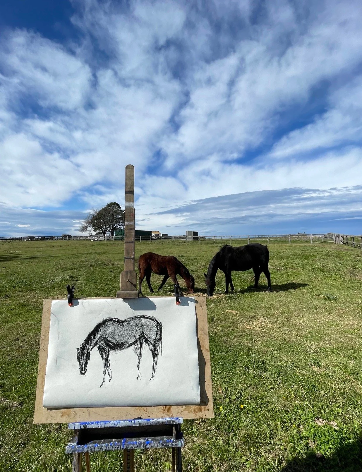 SKETCHING + SCULPTING THE HORSE MARCH 7 & 8: From Sketch to Sculpture - An Immersive Equine Masterclass Southern Highlands (1 or 2 Days)
