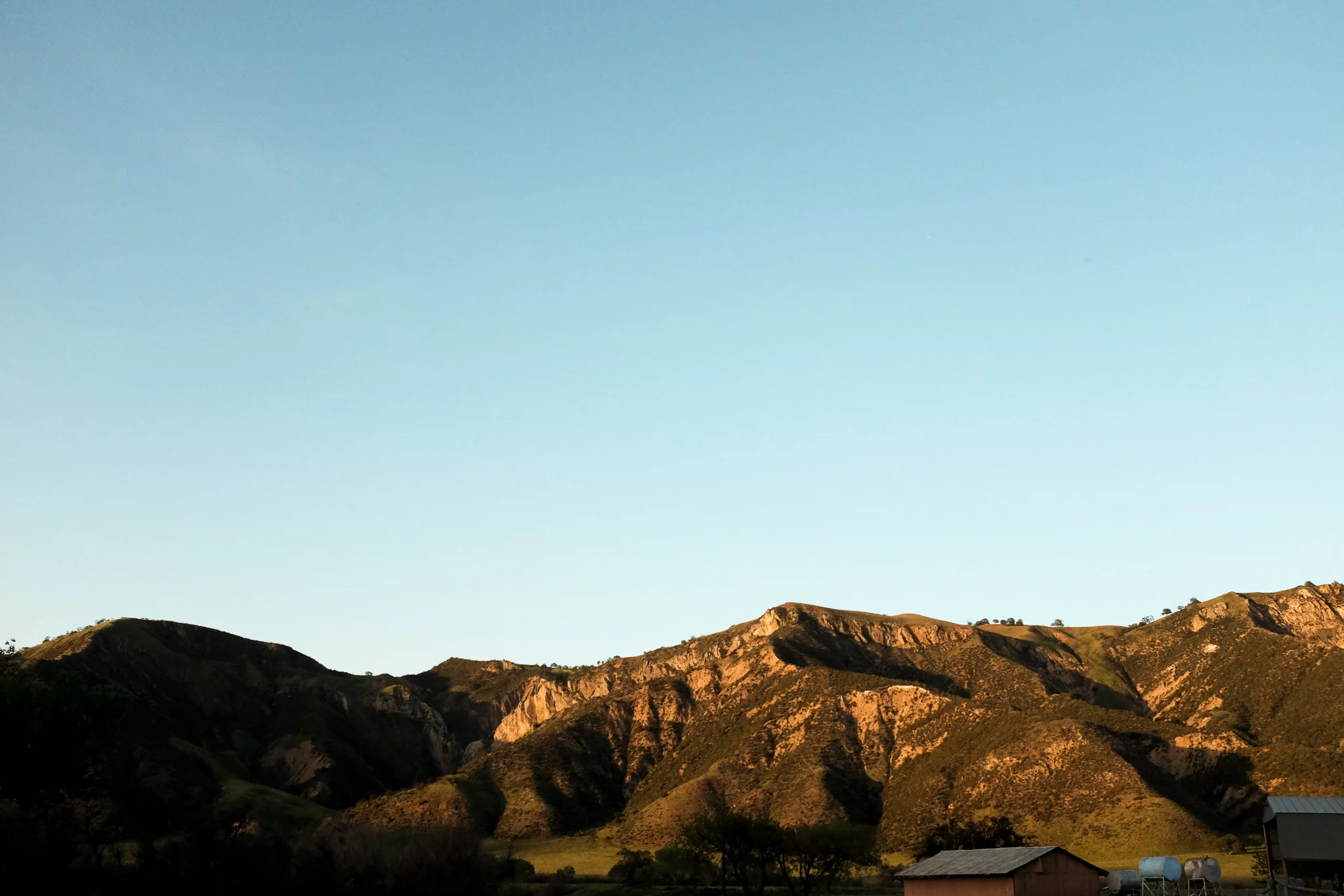 DSCF4480.jpg