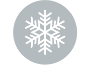 Icon Winter