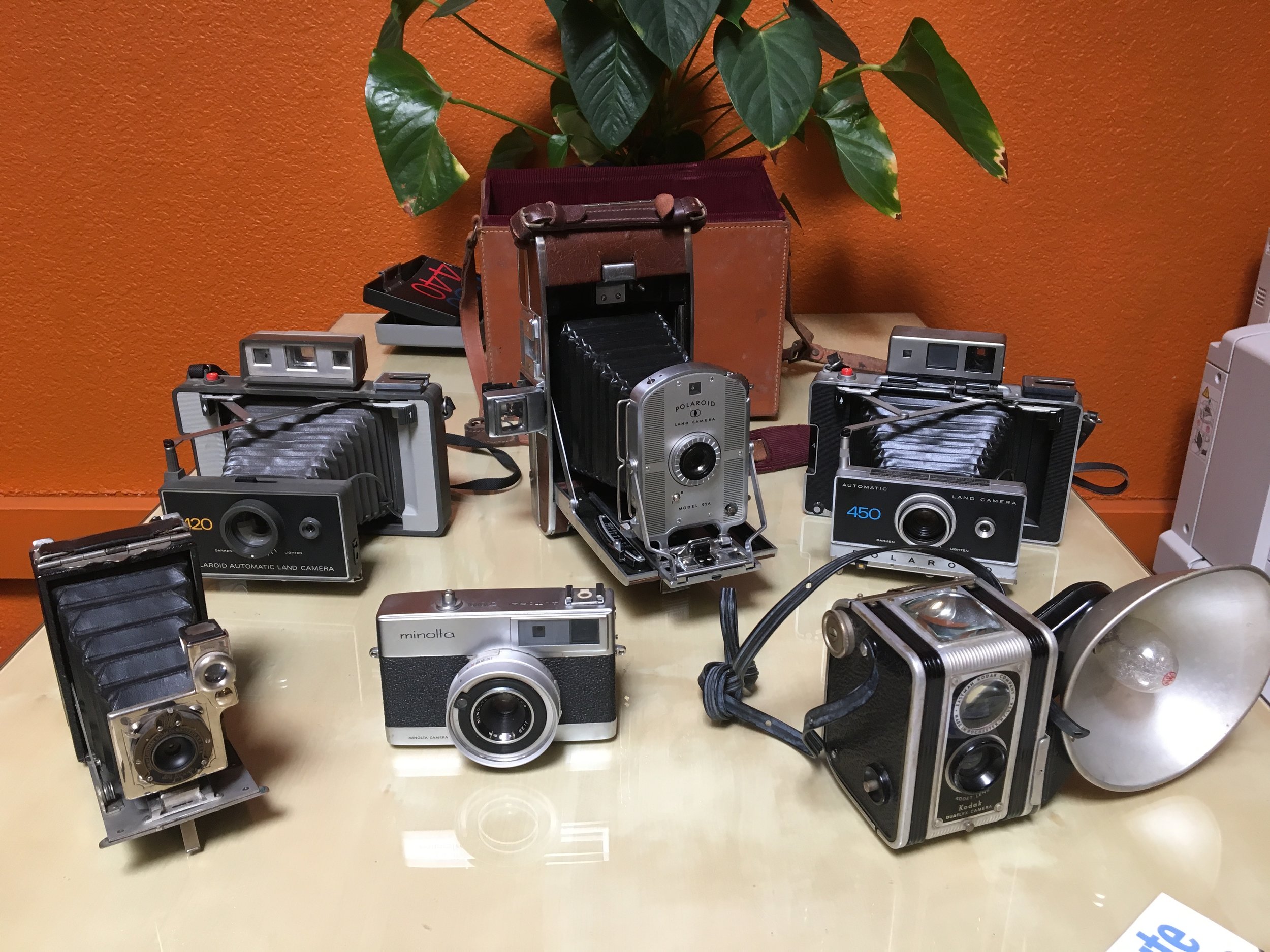 Vintage Family Camera Collection