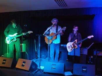 Hire Melbourne Wedding and Party Band Guitarist | PANEL VAN | Artist Bookings