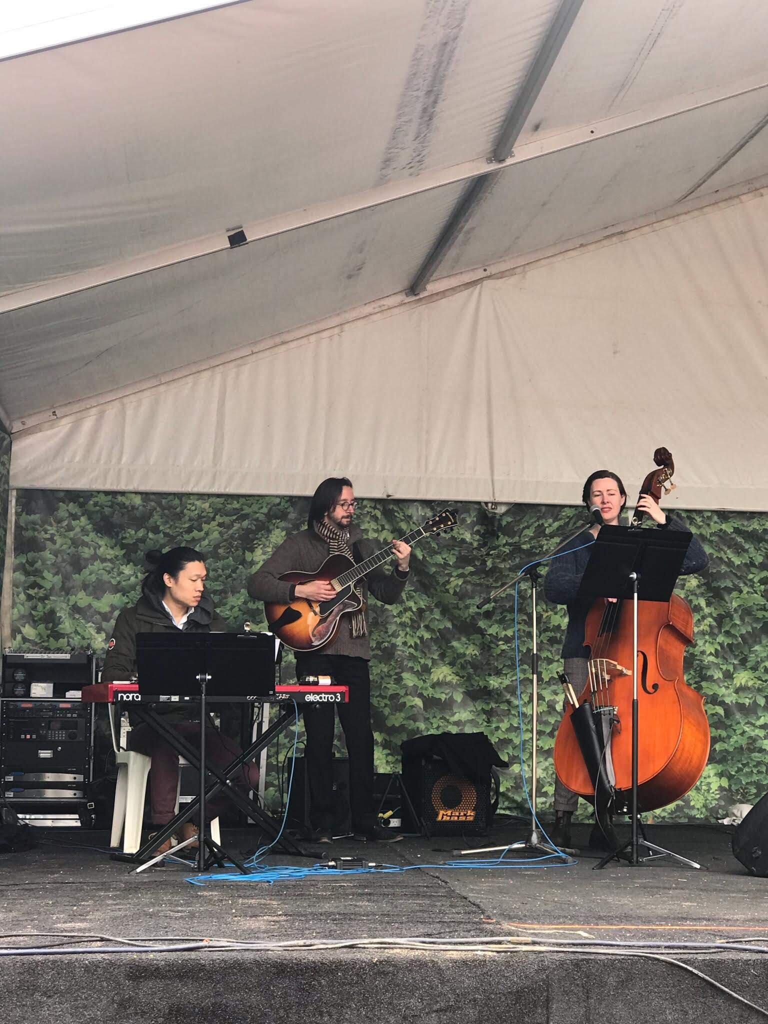 Orchid Trio - Guitar, Double Bass, Drums