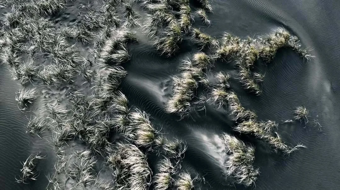 Book Aboriginal visual artist Melbourne | WAYNE presenting large-scale projections and installations | Artist Bookings (Copy)