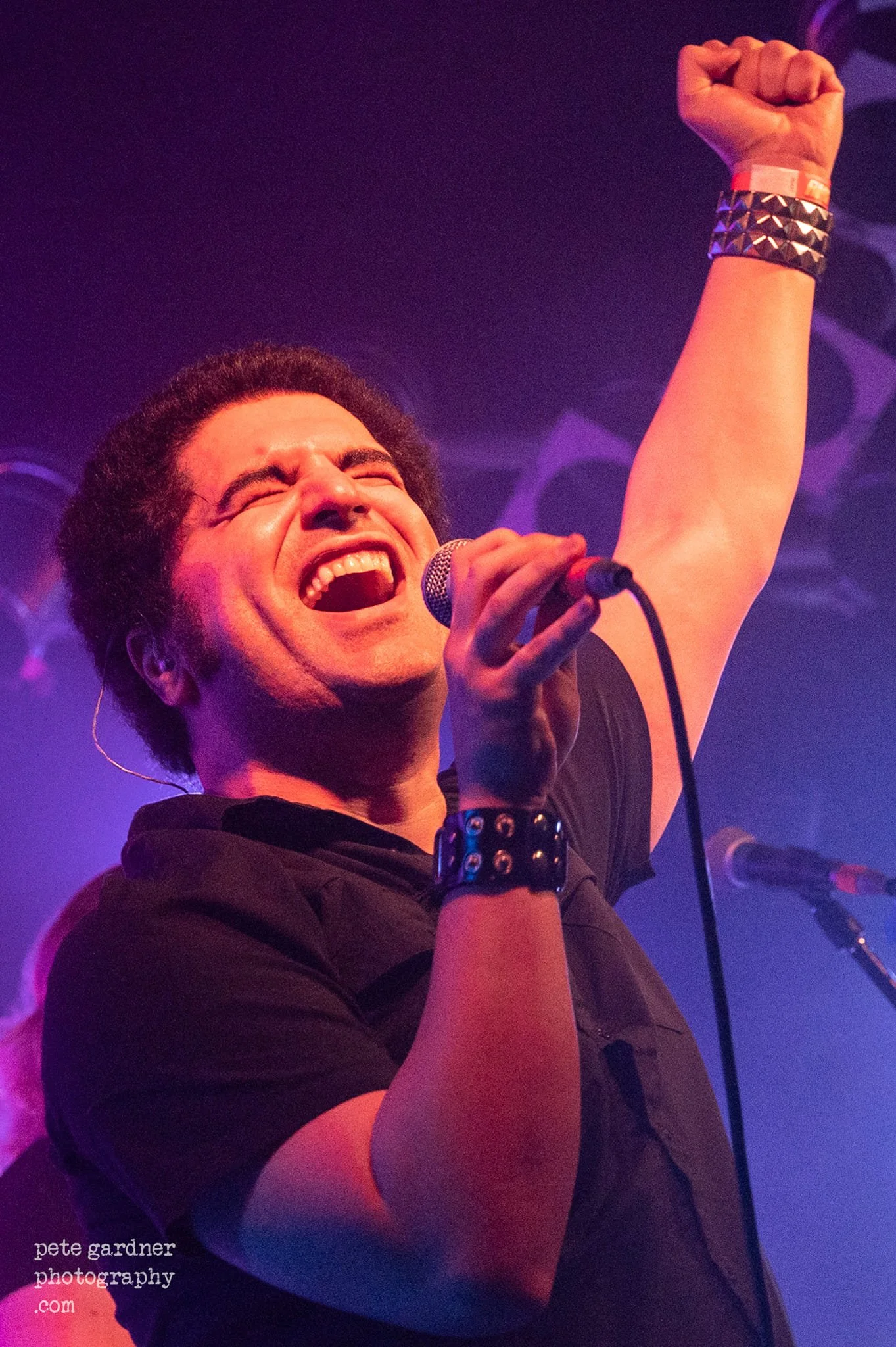 Hire pop acoustic musician Western Australia | FREDDIE festival bookings | Artist Bookings