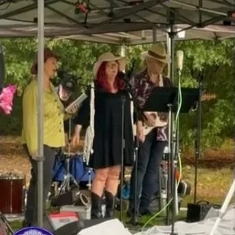 LUMINESCENCE MELBOURNE POP JAZZ TRIO ENGAGEMENT PARTY LIVE ENTERTAINMENT